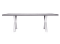 TAVOLO AMANTEA 220X100 ALU BIANCO - PIANO RESINA G